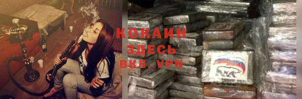сатива Кинешма