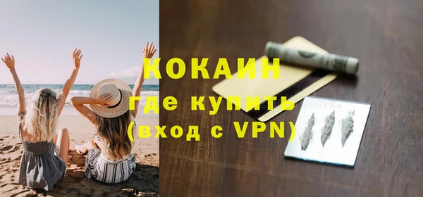 сатива Кинешма