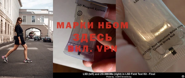 сатива Кинешма