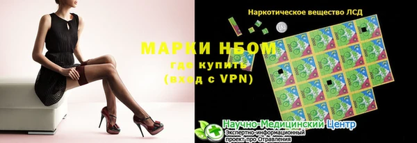 сатива Кинешма