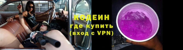 сатива Кинешма